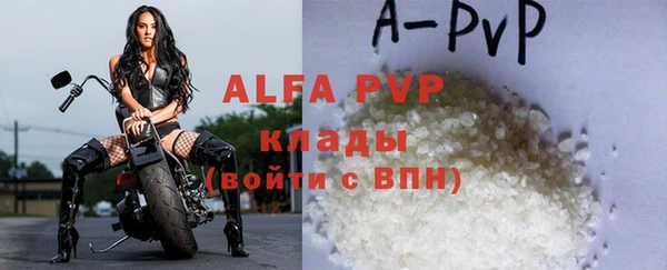 индика Белокуриха