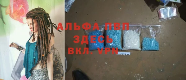 индика Белокуриха