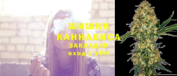 индика Белокуриха