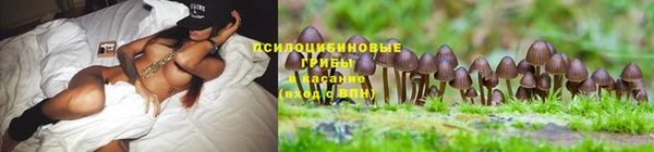 гашиш Беломорск