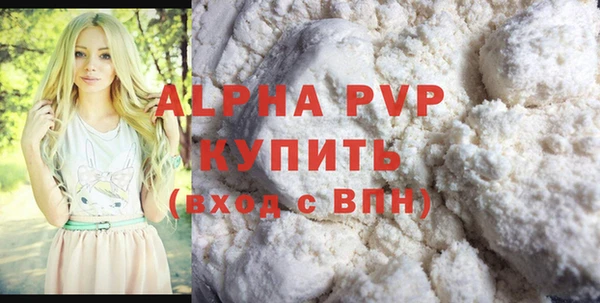 индика Белокуриха