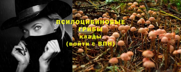индика Белокуриха
