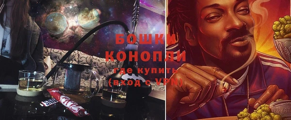 индика Белокуриха