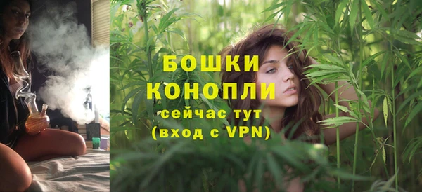 гашик Белоозёрский