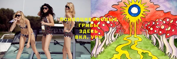 гашик Белоозёрский