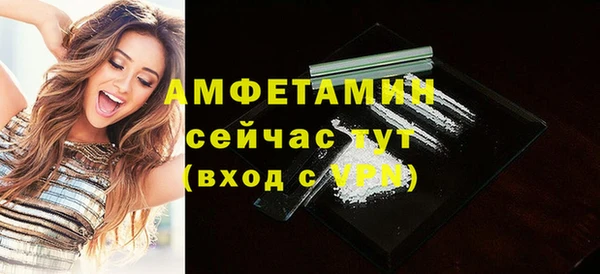 индика Белокуриха