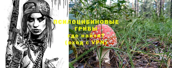 гашик Белоозёрский