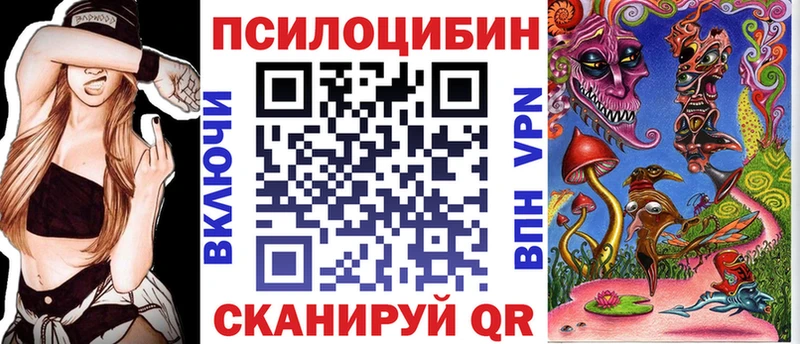 Псилоцибиновые грибы Psilocybe  Дудинка 