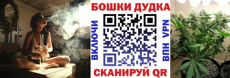 Конопля гибрид  Дудинка 